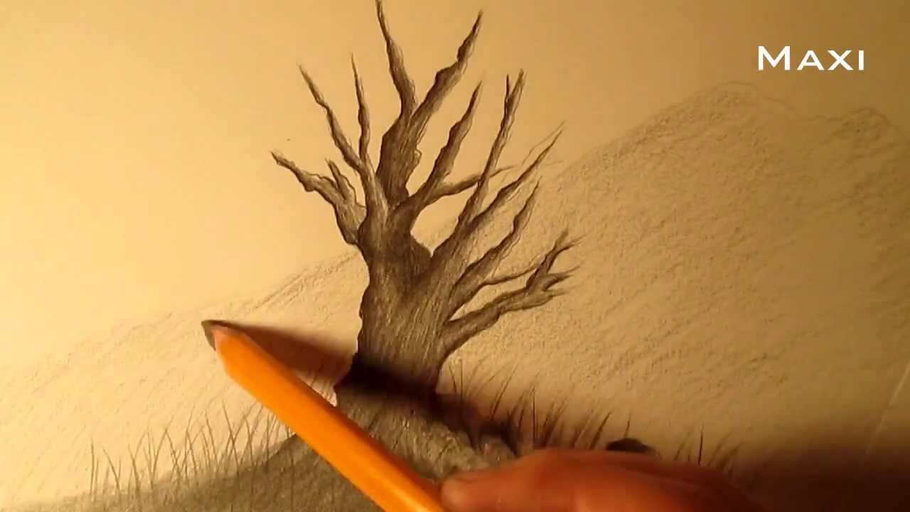 Cómo dibujar un árbol a lápiz paso a paso, cómo dibujar un árbol