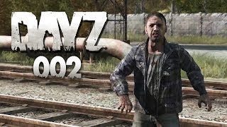 DAYZ #002 - Plünderungen & Gefahren [HD+] | Let's Play DayZ