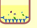 Enzyme immunoassay (EIA) to detect antigens - Multi-Lingual Captions