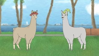 Llamas with Hats 5