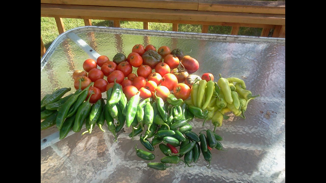 Hybrid Rain Gutter Grow System, Kiddie Pool Grow System, The Pop Bottle