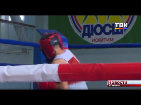 Турнир по боксу памяти Д. Бобринского приобретает статус международного Турнир по боксу памяти Д. Бобринского приобретает статус международного
