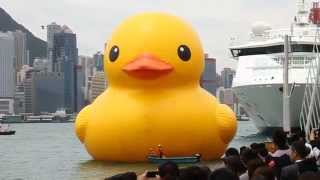 Rubber Duck Project (Hong Kong Tour) 橡皮鴨游世界‧香港站