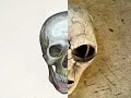 Alien SKULL mystery. Human, Anomalous hominid, or ancient extraterrestrial remains from UFO crash?