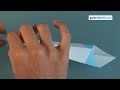 2 - Cómo Hacer Un Cisne De Papel. Origami