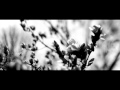 Silent Treatment (William Orbit version)