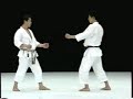 Mawashi geri