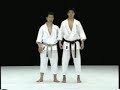 Mawashi geri