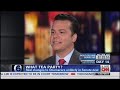 Democrat, Republican Battle Tea Partier Amy Kramer on CNN Over Whether GOP Shut Down Government