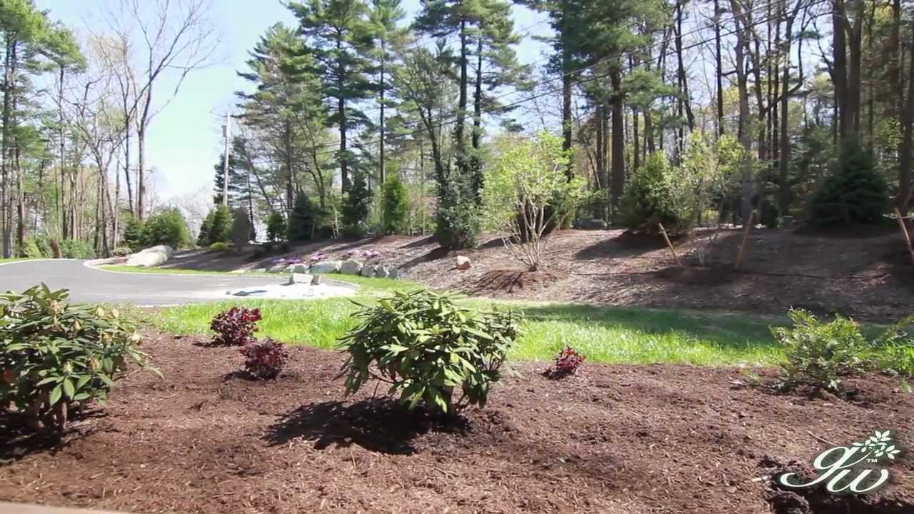 Use Trees to Create a Beautiful, Natural Barrier Between your Home and