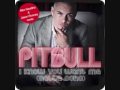 Pitbull - I Know You Want Me (Calle Ocho) (Alex Gaudino & Jason Rooney Remix)