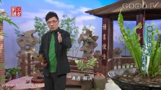 縮圖