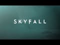 ADELE - Skyfall