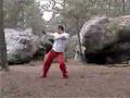 XINYI BAGUA ZHANG FORCE GLOBALE DANIEL BELOTTI