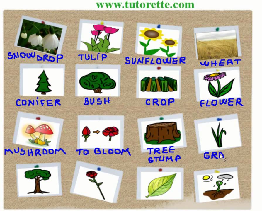 Curso em ingles