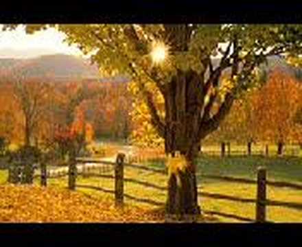 Tie a yellow ribbon round the old oak tree - YouTube