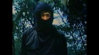 Click to View : The Ninja Squad (1986) (ESP)