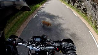 Aprilia SXV 550 Silmoto - I almost killed a cat. (with slomo)