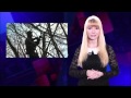 News of Tsarskoe Selo. The review of events. December, 23, 2014