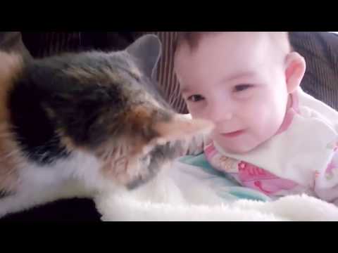 Baby and Cat Fun and Fails Funny Baby Video