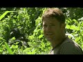 Gorilla shows Steve who's boss - Deadly 60 - Series 2 - BBC