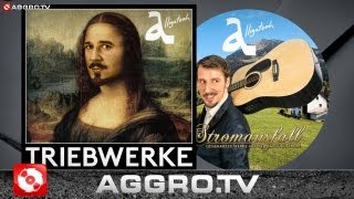 ALLIGATOAH - WILLST DU UNPLUGGED (OFFICIAL HD VERSION AGGRO.TV)