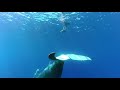 GoPro: Whale Fantasia