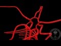 Vascularisation de l'encéphale