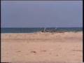 Immense plage de La Fanqui