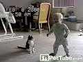 Cutest Wrestling Match Ever - PetTube.com