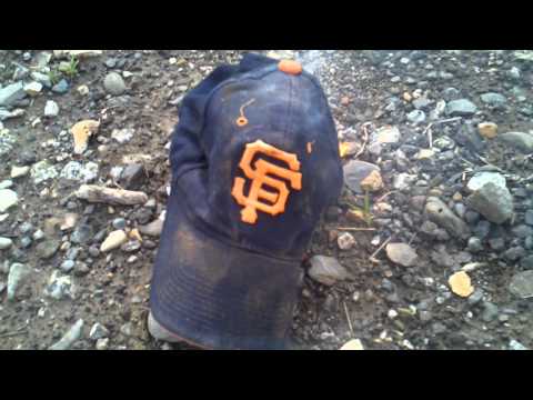 San francisco giants suck