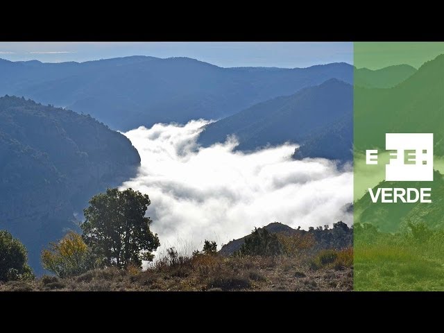 - Prepirineo central catalán: el valor del paisaje de la Red Natura 2000 de la UE