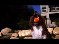 Dogs in Slow Motion - 1000fps - Orapup