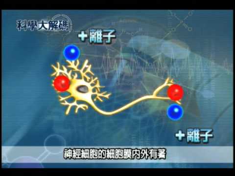 43. 善用電診與電療 - YouTube pic