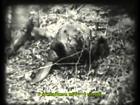 Okanagan Language Video:  iʔ stunx! (The Beavers) Okanagan subtitles