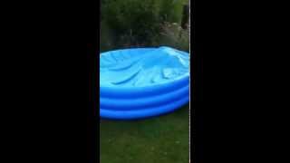 Dog in a paddling pool