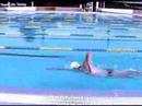 Bill Kirby Swimming Technique Visualization