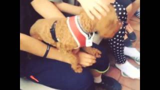 [RANDOM] 20140615 Key - with Comme Des & Garcons