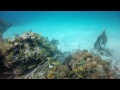 Gopro Underwater - Backscatter Lens