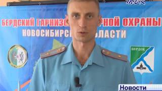 Сводка ОНД по г. Бердску