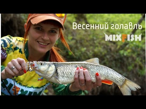 Новое видео о ловле голавля.