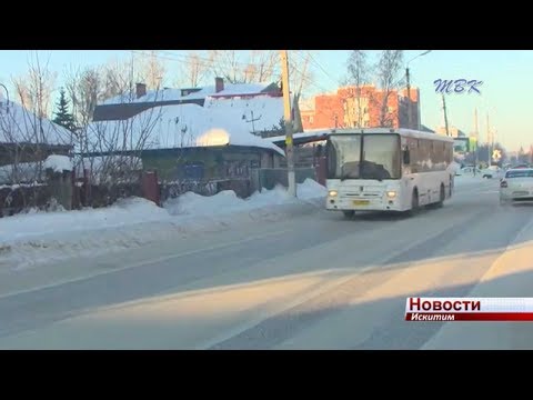 Кондукторы Искитима встали на защиту коллеги, которую упрекнули в неоказании помощи пассажиру с травмой Кондукторы Искитима встали на защиту коллеги, которую упрекнули в неоказании помощи пассажиру с травмой
