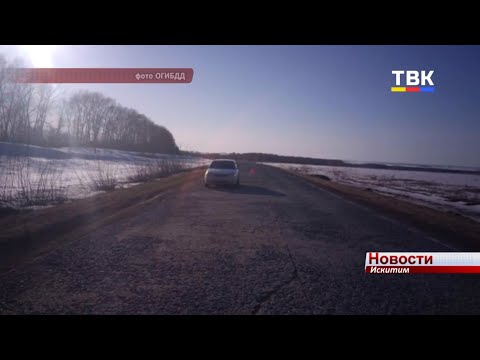 Вышел из автомобиля и погиб. В Искитимском районе произошло ДТП со смертельным исходом