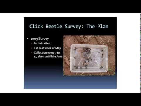 Wireworm Info Day - PEI Surveys (2 of 9)