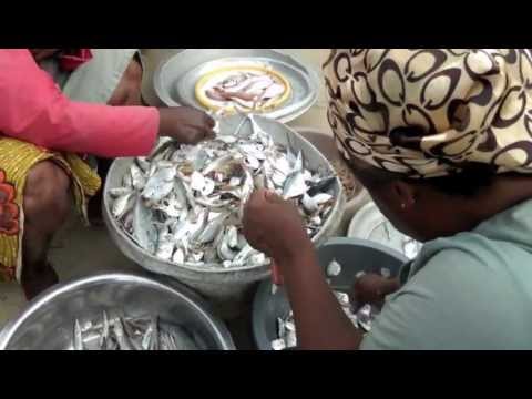 Fishing for Resilience in Accra | WINNER entry for DPU short film competition 2012
