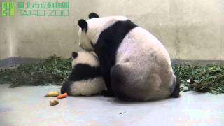 圓仔和媽媽吃晚餐 Yuan Zai Eats Dinner with Yuan Yuan