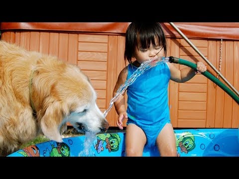 BEST FUNNY Laughing Babies Playing With Dog And Water | Funny Baby And Dog Compilations