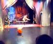 Moscow Cat Theater -- Tightrope