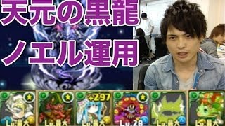 パズドラ【伝説の大地】天元の黒龍　木ノエル×ミカエルで攻略〜攻略の鍵はググる！〜