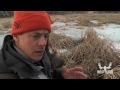 Beaver and Muskrat Trapping with Steven Rinella
